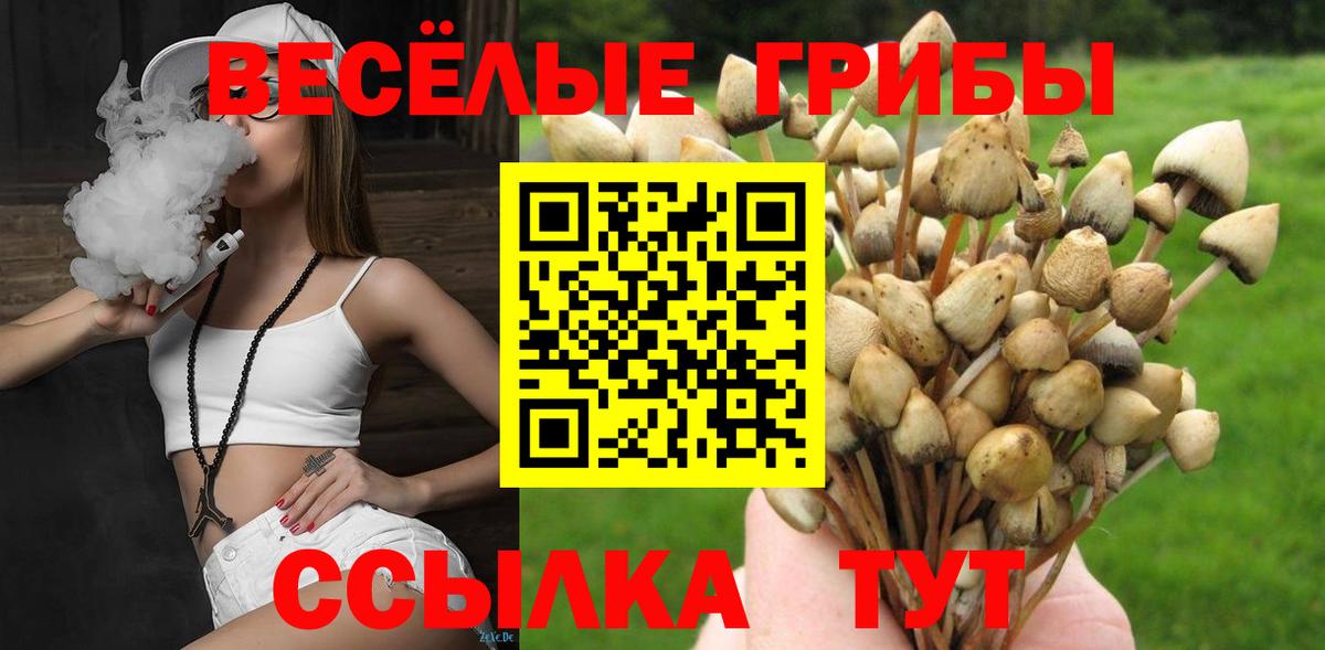 Псилоцибиновые грибы мицелий Видное
